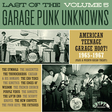 Last Of The Garage Punk Unknowns Volume 5