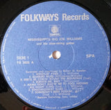 Mississippi's Big Joe Williams And His Nine String Guitar