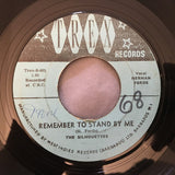 A Still Small Voice / Remember To Stand By Me