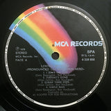 (Pronounced 'Lĕh-'nérd 'Skin-'nérd)