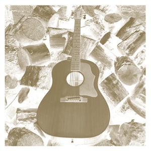 VDSQ Solo Acoustic Vol. 11 — Homages