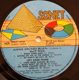 Living Chicago Blues